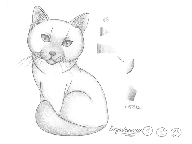 Рисунок 6 - Готовый рисунок кошки